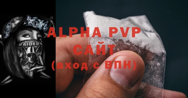 твердый Богданович