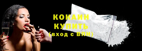 твердый Богданович