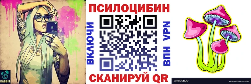 Псилоцибиновые грибы прущие грибы  Купить где  Опочка 